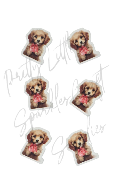 Christmas Present Cavoodle