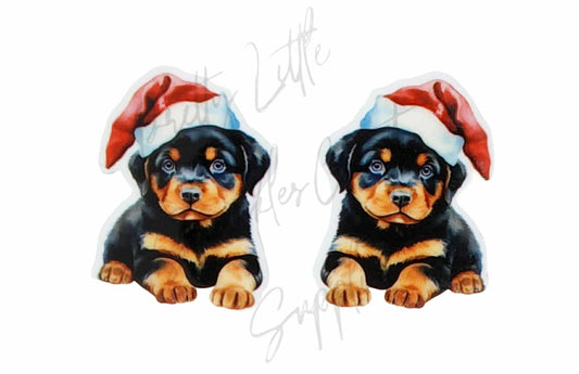 Christmas Rottweiler Pup