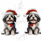Christmas Shih Tzu Dog