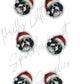 Christmas Shih Tzu Dog