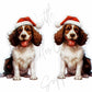 Christmas Spaniel Dog