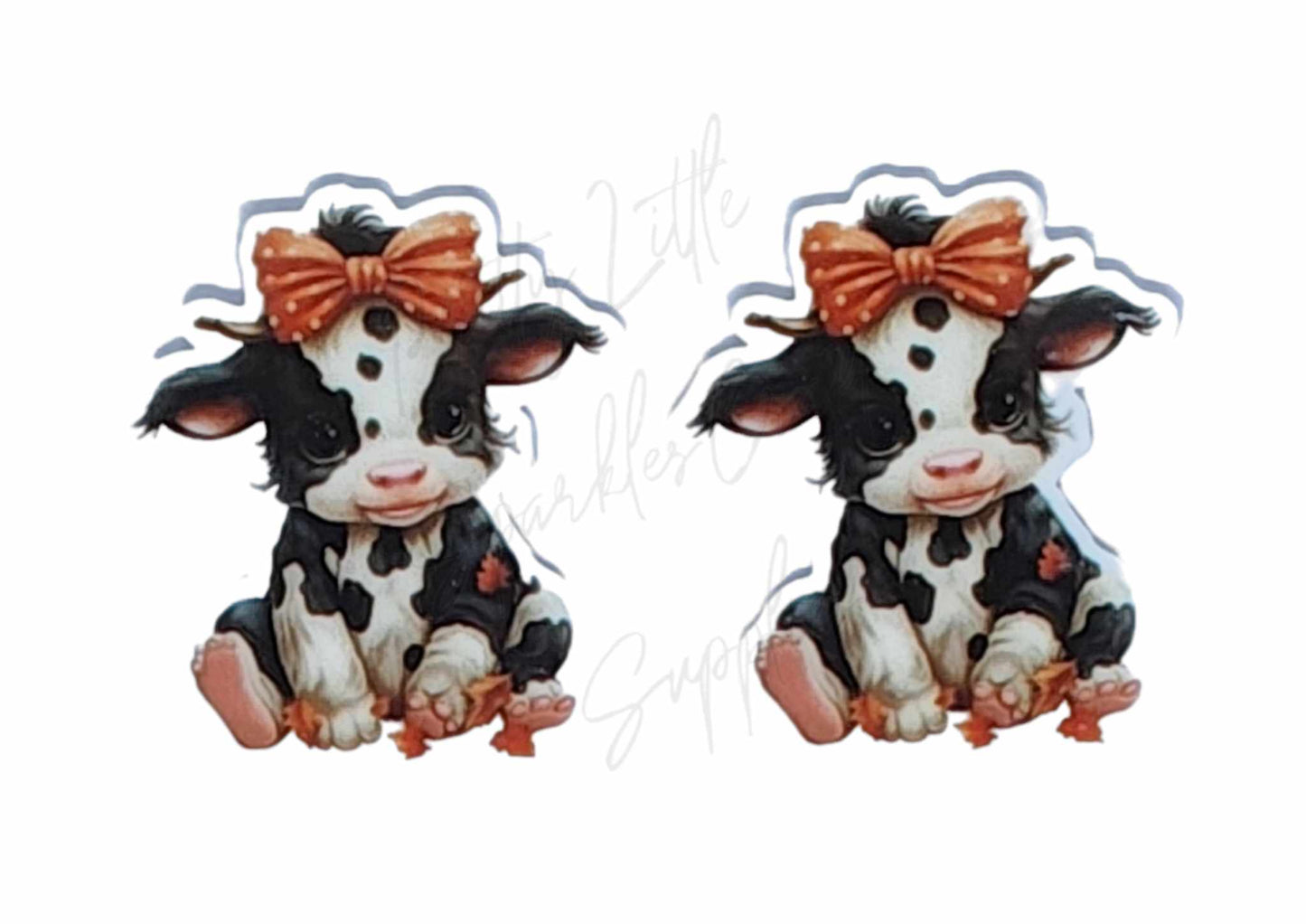 Baby Daisy Cow