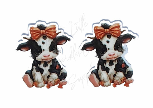 Baby Daisy Cow
