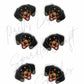 Dachshund Black