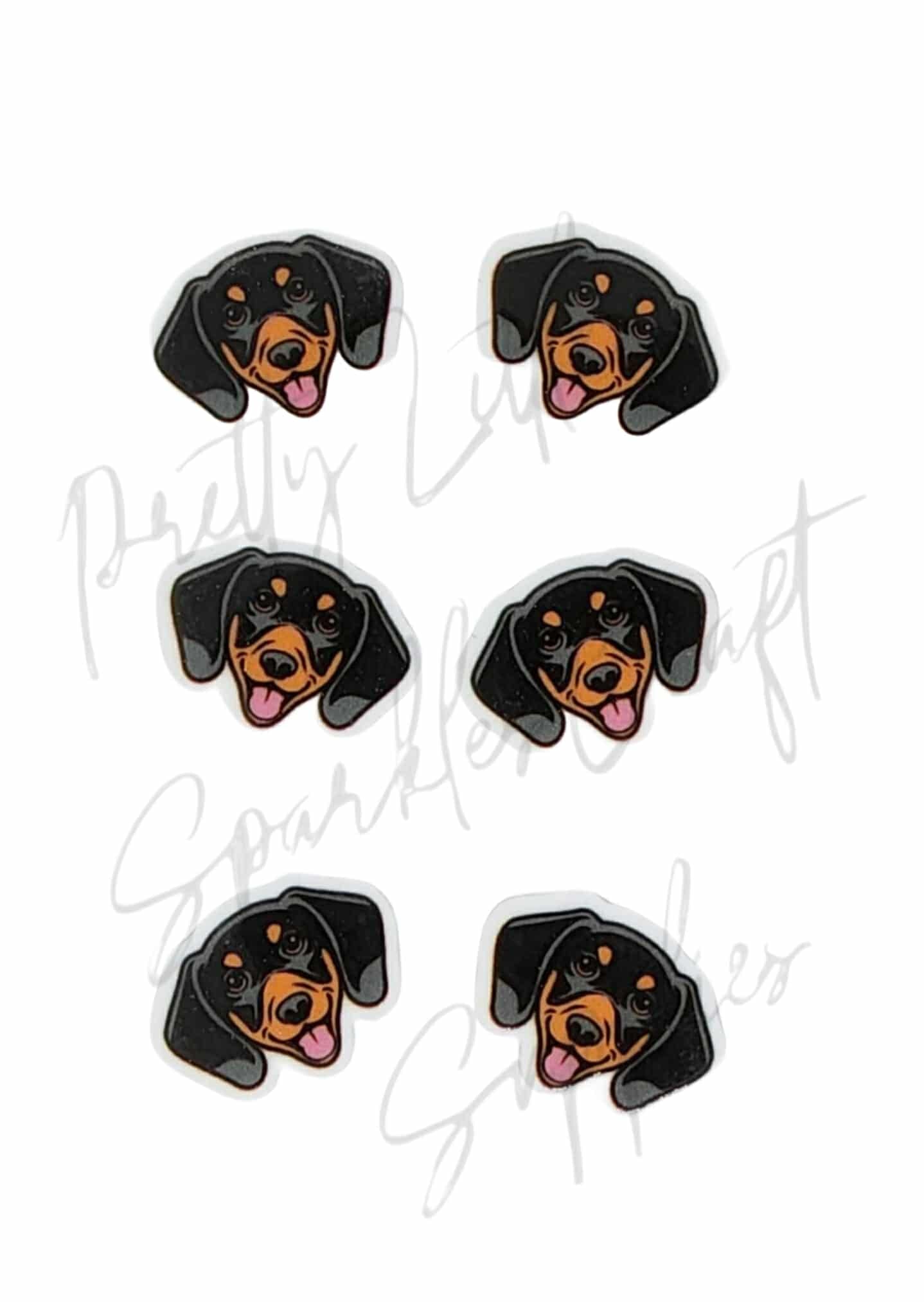 Dachshund Black