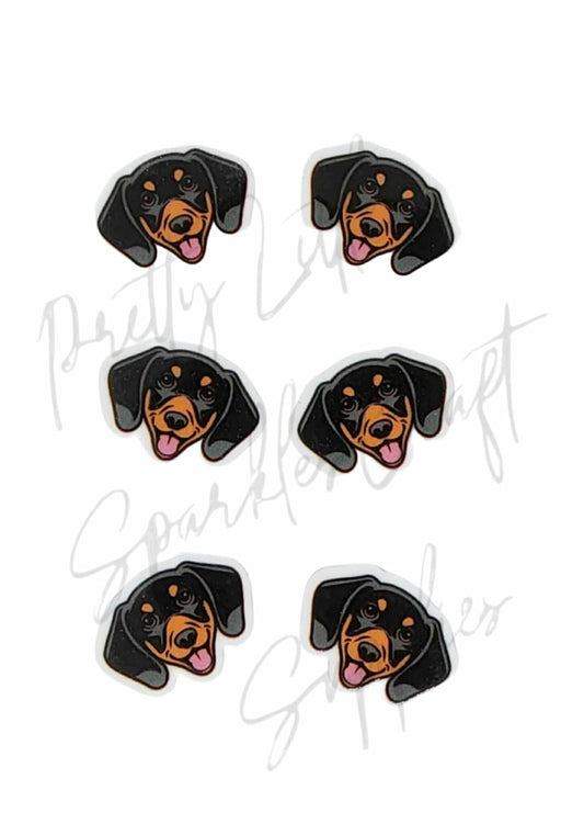 Dachshund Black