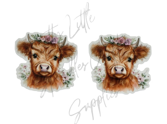 Flower Highland Cow