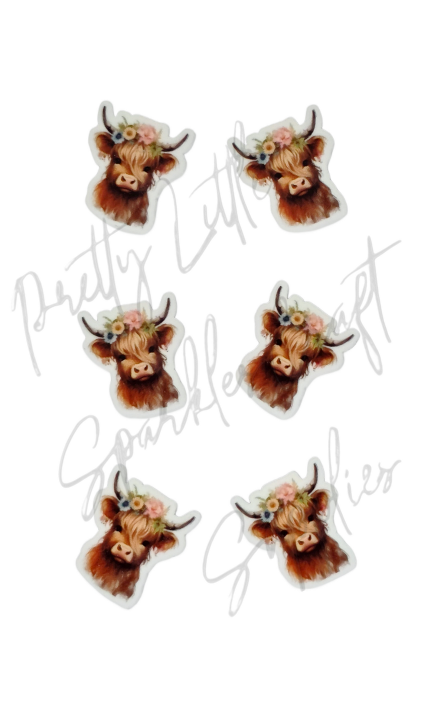 Flower Highland Cow