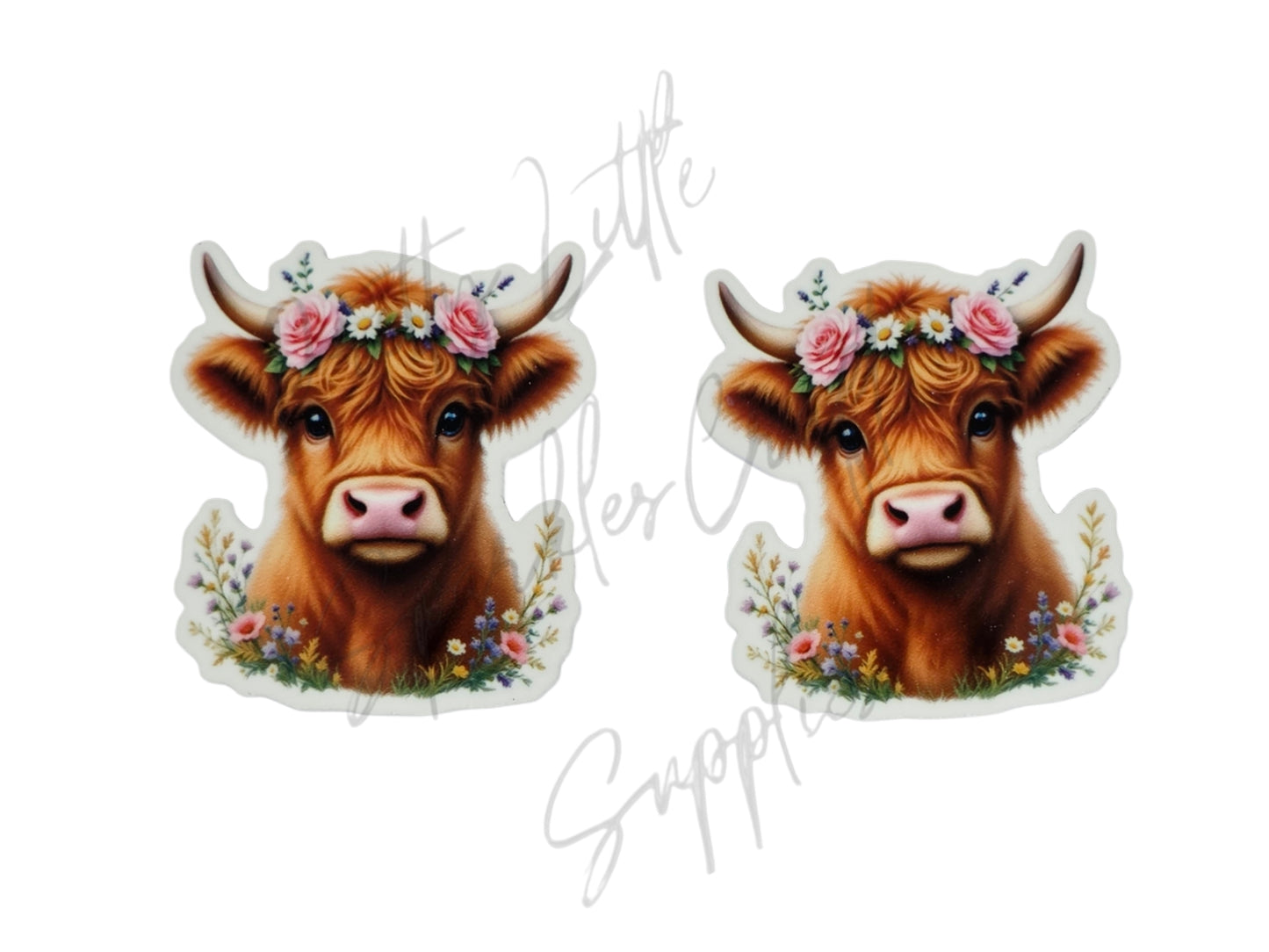 Flower Highland Cow