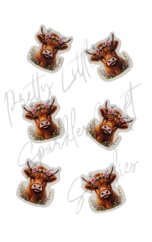 Flower Highland Cow