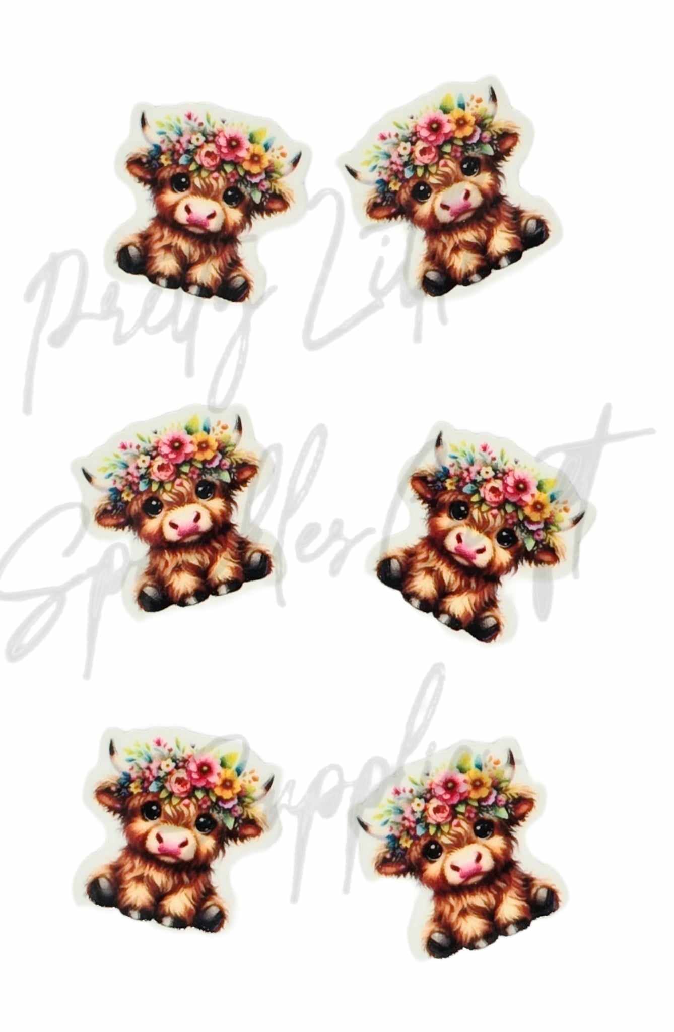 Flower Highland Cow
