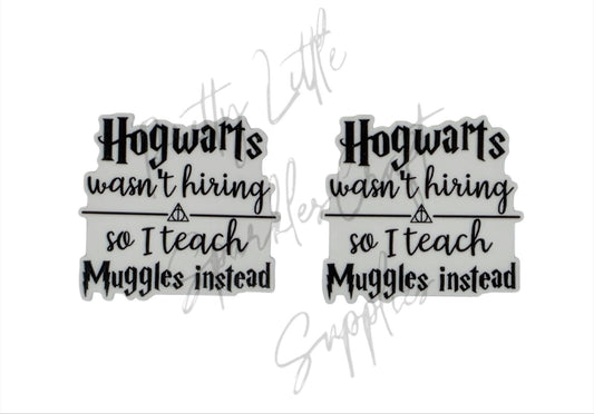 Hogwarts Wasn't Hiring So I Teach Muggles Instead