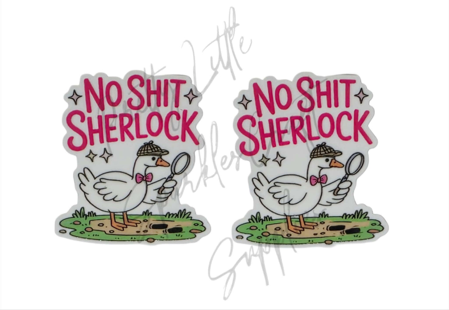 No Shit Sherlock
