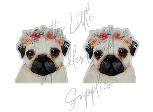 Pug