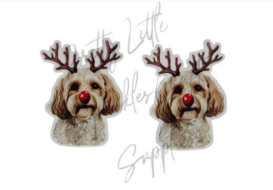 Reindeer Cavoodle