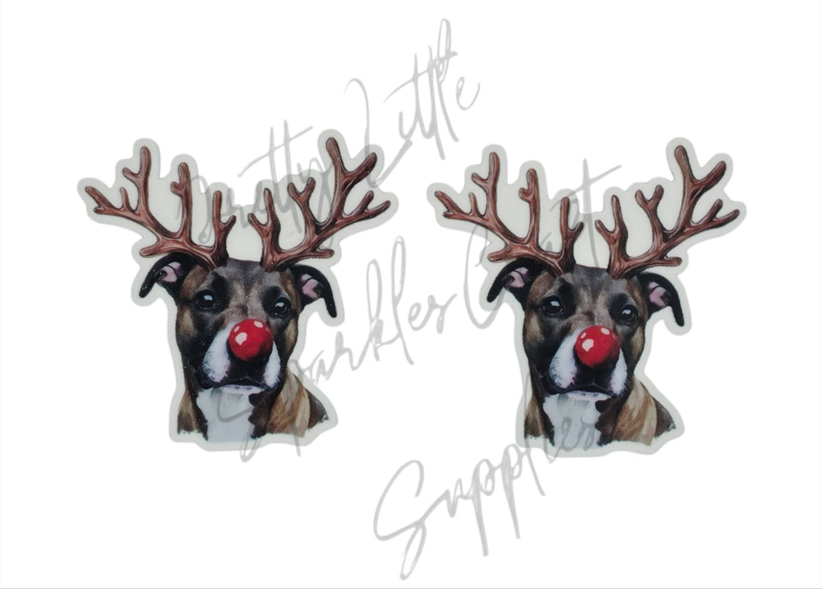 Reindeer Staffy