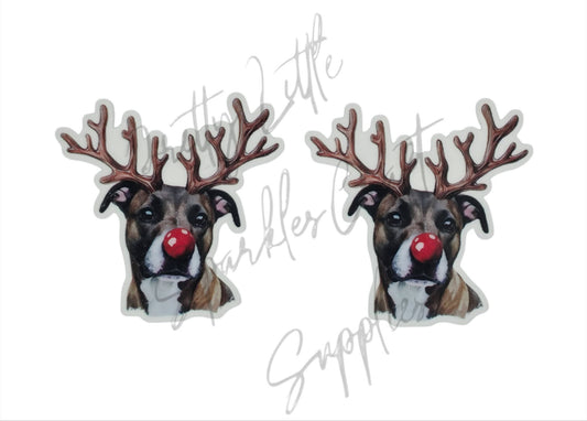 Reindeer Staffy