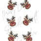 Rudolph
